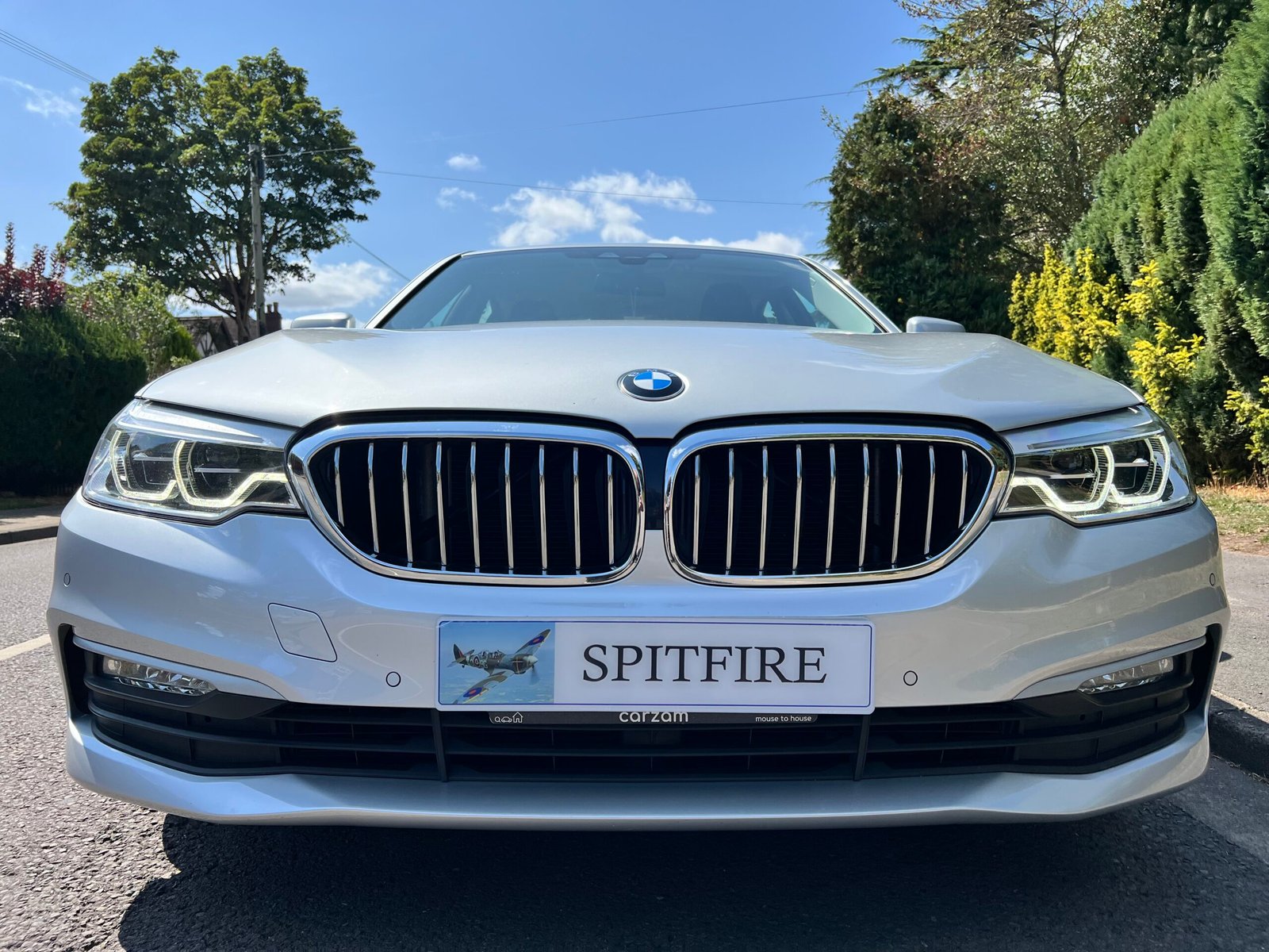 
								BMW 5 Series 2.0 520d ED SE Auto Euro 6 (s/s) 4dr full									
